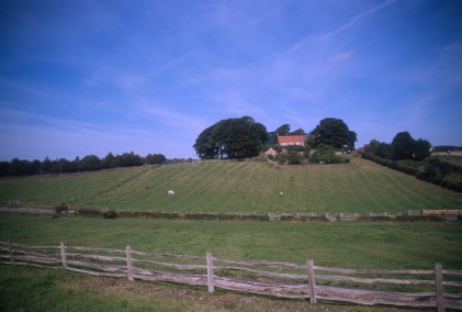 Durham countryside